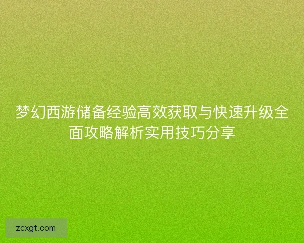 梦幻西游储备经验高效获取与快速升级全面攻略解析实用技巧分享