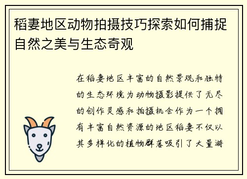 稻妻地区动物拍摄技巧探索如何捕捉自然之美与生态奇观